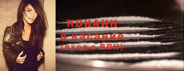 гидра Кукмор