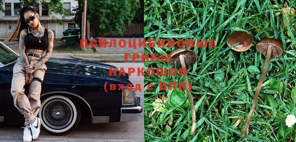 бошки Кулебаки