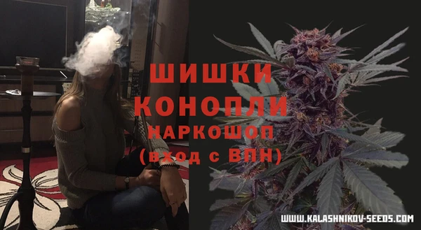 гидра Кукмор