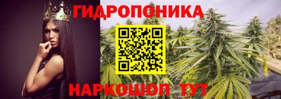 Альфа ПВП Аргун