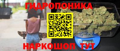 Альфа ПВП Аргун