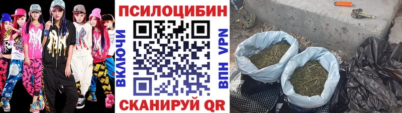 дарнет шоп  Березники  Галлюциногенные грибы Magic Shrooms 