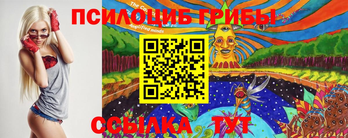 Березники  Псилоцибиновые грибы мухоморы  Галлюциногенные грибы Magic Shrooms  Вход с VPN 
